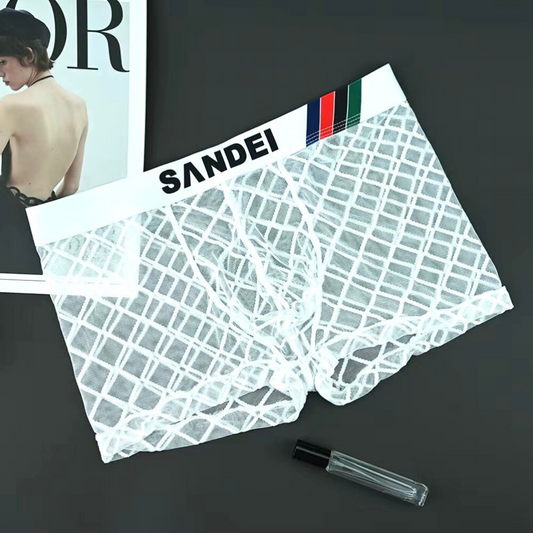 QS See-through Mesh Sexy Boxer Briefs