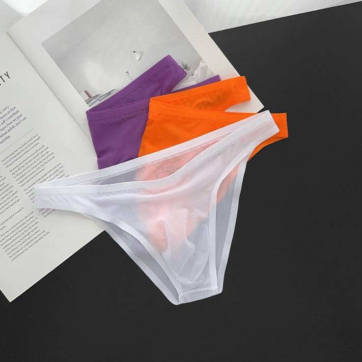 QS Semi-transparent Silky Breathable Briefs