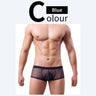 QS Sheer Ice Silk Sexy Boxer Briefs