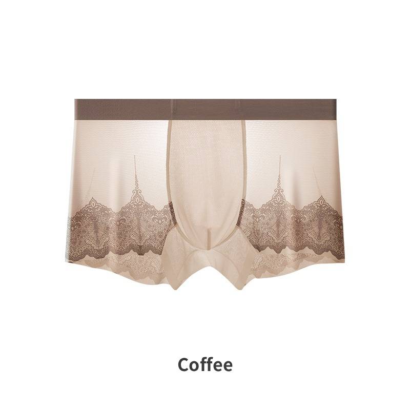 QS Ultra-thin Mesh Lace Sexy Boxer Briefs