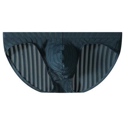 QS Striped Mesh Sexy Briefs