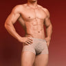 QS Sexy Lace Mesh Boxer Briefs