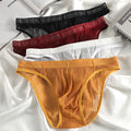 Transparent vertical striped briefs