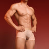 QS Sexy Lace Mesh Boxer Briefs