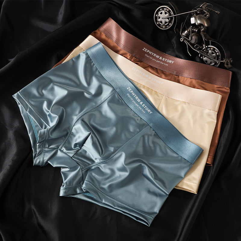 ZD  Ice Silk Premium Briefs