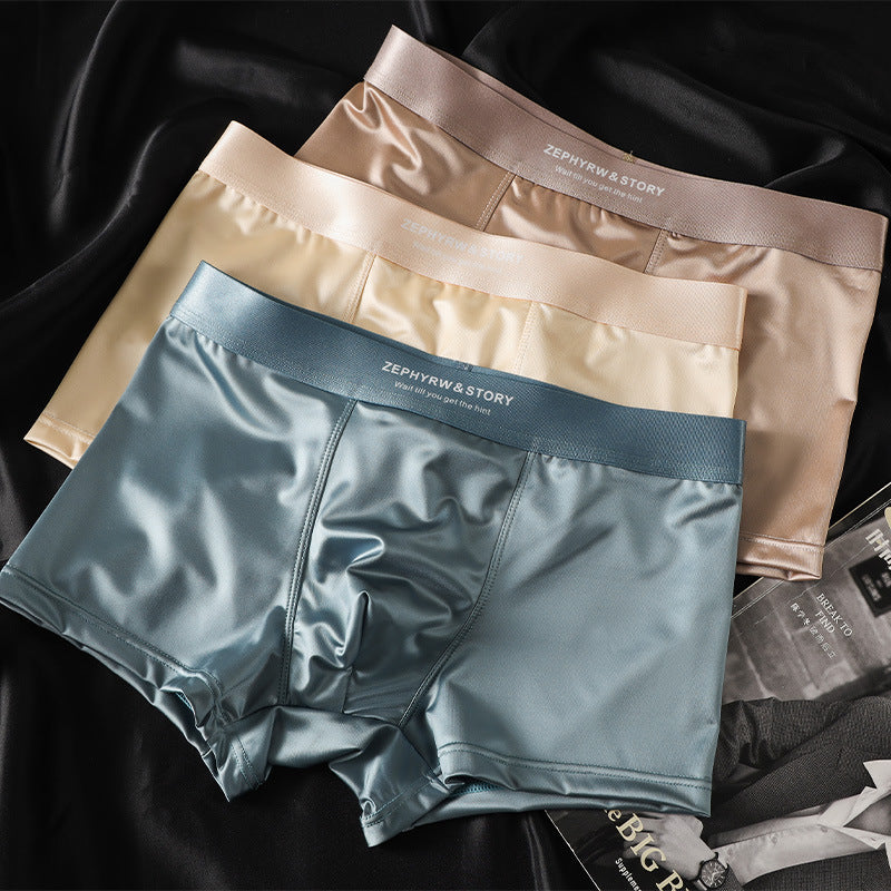 ZD  Ice Silk Premium Briefs