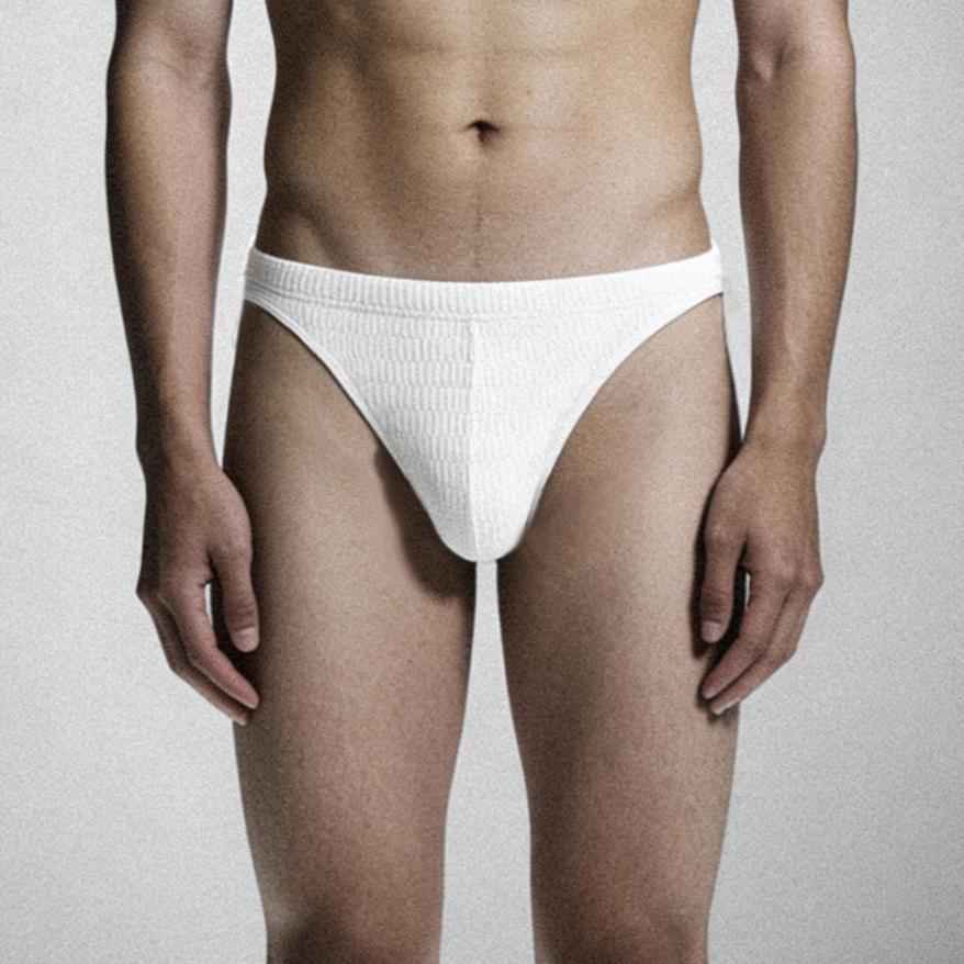 ZDSolid Micro-Mesh Sexy Low-Rise Briefs