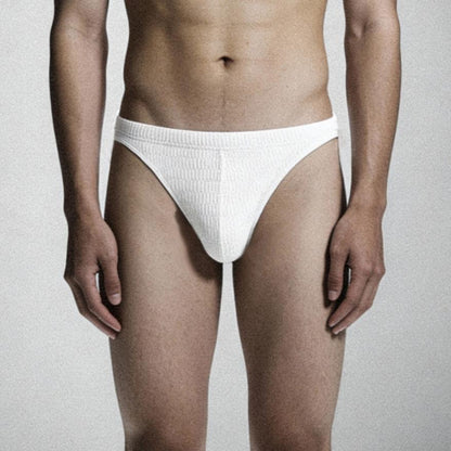 ZDSolid Micro-Mesh Sexy Low-Rise Briefs