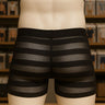 ZD Horizontal Stripe Mesh Briefs