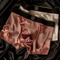 Satin & Mesh Panel Luxury Boxer Briefs