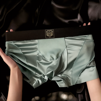 Satin & Mesh Panel Luxury Boxer Briefs