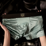 Satin & Mesh Panel Luxury Boxer Briefs