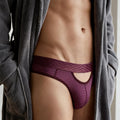 ZDStriped Sheer Briefs