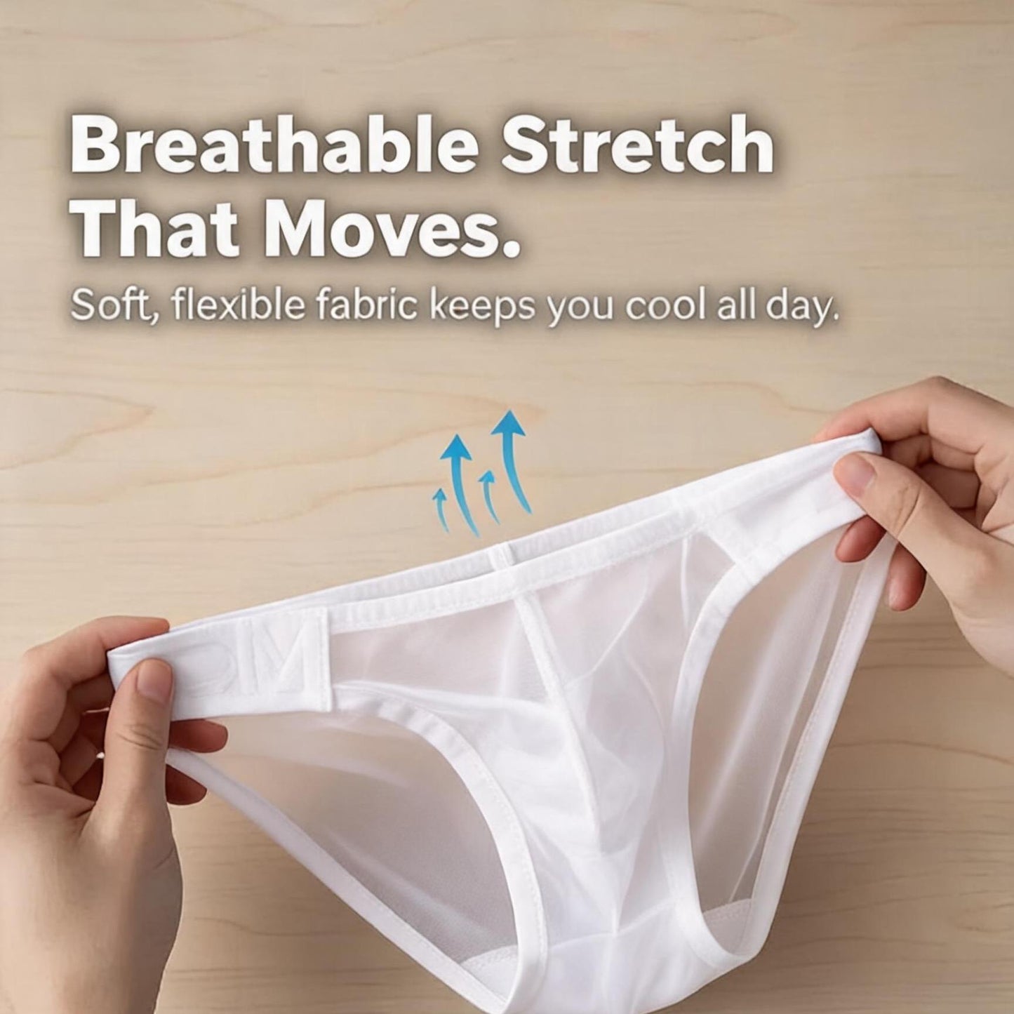 ZD  Full Sheer Mesh Briefs