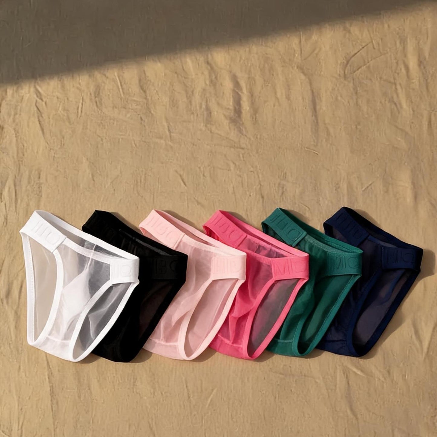 ZD  Full Sheer Mesh Briefs
