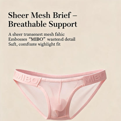ZD  Full Sheer Mesh Briefs