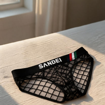 ZD Lace Mesh Sexy Briefs