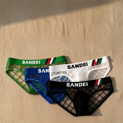 ZD Lace Mesh Sexy Briefs