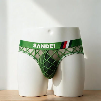 ZD Lace Mesh Sexy Briefs