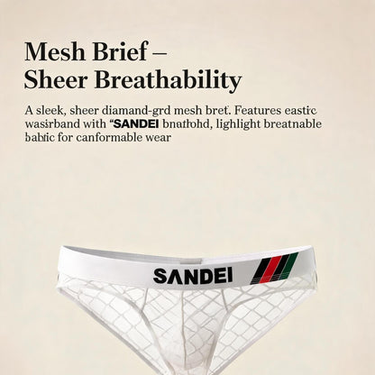 ZD Lace Mesh Sexy Briefs