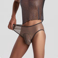 ZD Aurora Sheer Briefs