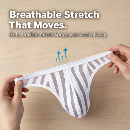 ZD Vertical Stripe Sheer Briefs