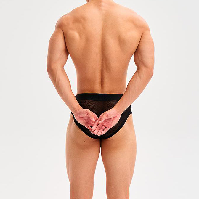 Snake print mesh briefs