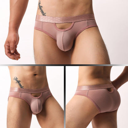 ZDStriped Sheer Briefs