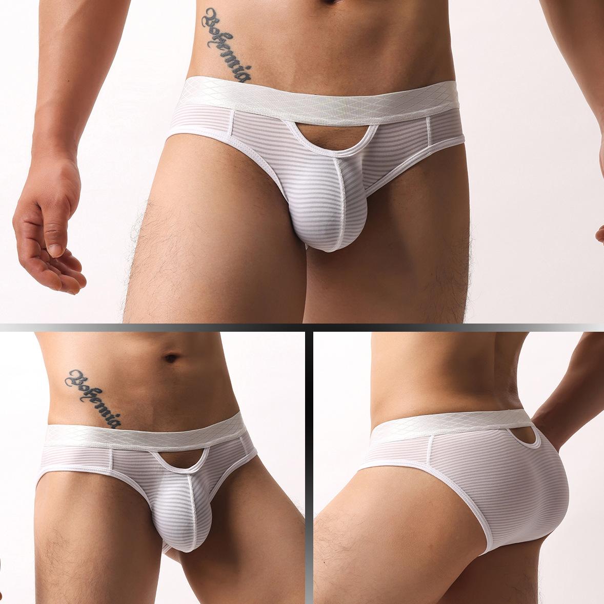 ZDStriped Sheer Briefs