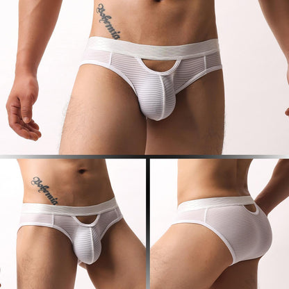 ZDStriped Sheer Briefs