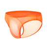 ZDBreathable Mesh Basic Briefs
