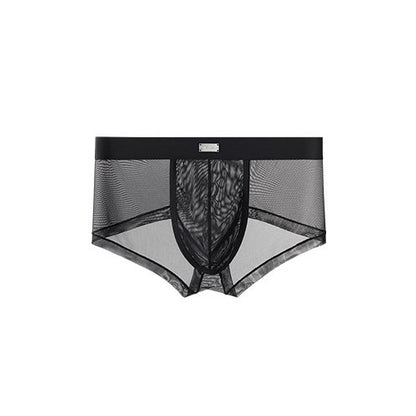 Double Side Sheer Mesh Minimal Low-Rise Briefs