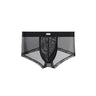Double Side Sheer Mesh Minimal Low-Rise Briefs