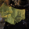 ZDEmerald Forest Briefs