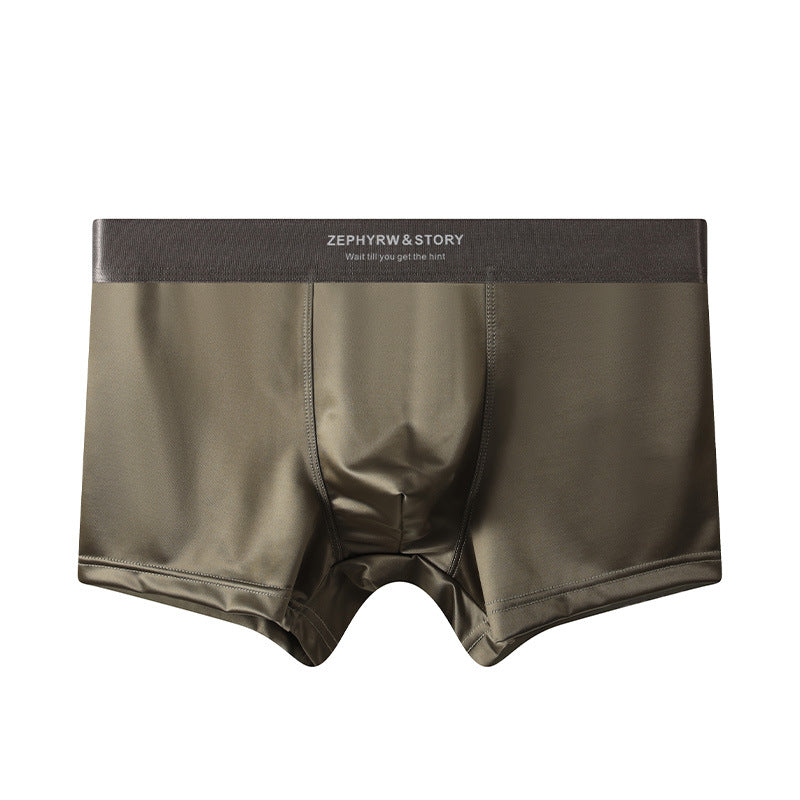 ZD  Ice Silk Premium Briefs