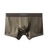 ZD  Ice Silk Premium Briefs