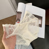 ZD Regal Lace Briefs