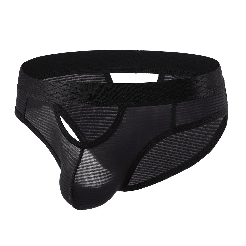 ZDStriped Sheer Briefs