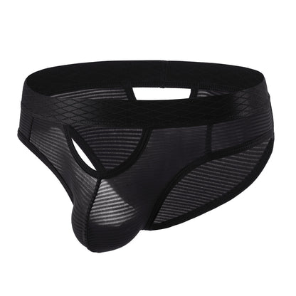 ZDStriped Sheer Briefs