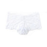 ZD Sheer Mesh Boxer Briefs