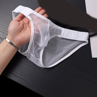 ZD  Full Sheer Mesh Briefs