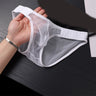 ZD  Full Sheer Mesh Briefs