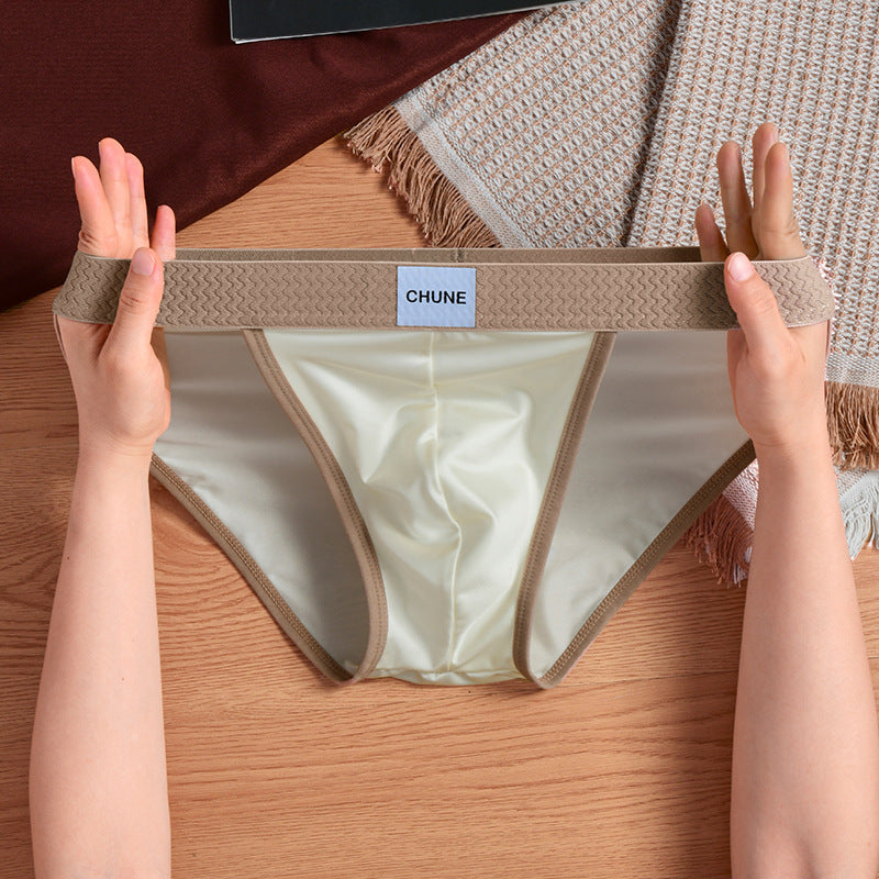 Silky Satin Briefs