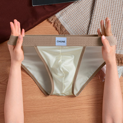 Silky Satin Briefs