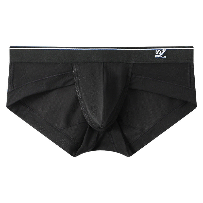 ZD  Sheer Comfort Briefs