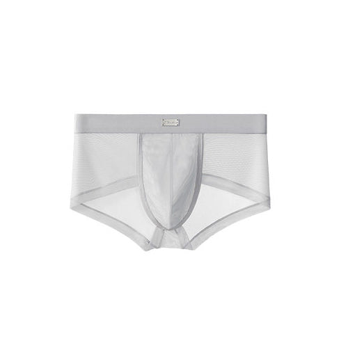 Double Side Sheer Mesh Minimal Low-Rise Briefs