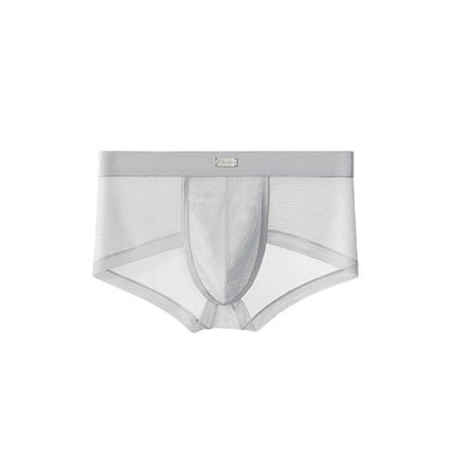 Double Side Sheer Mesh Minimal Low-Rise Briefs