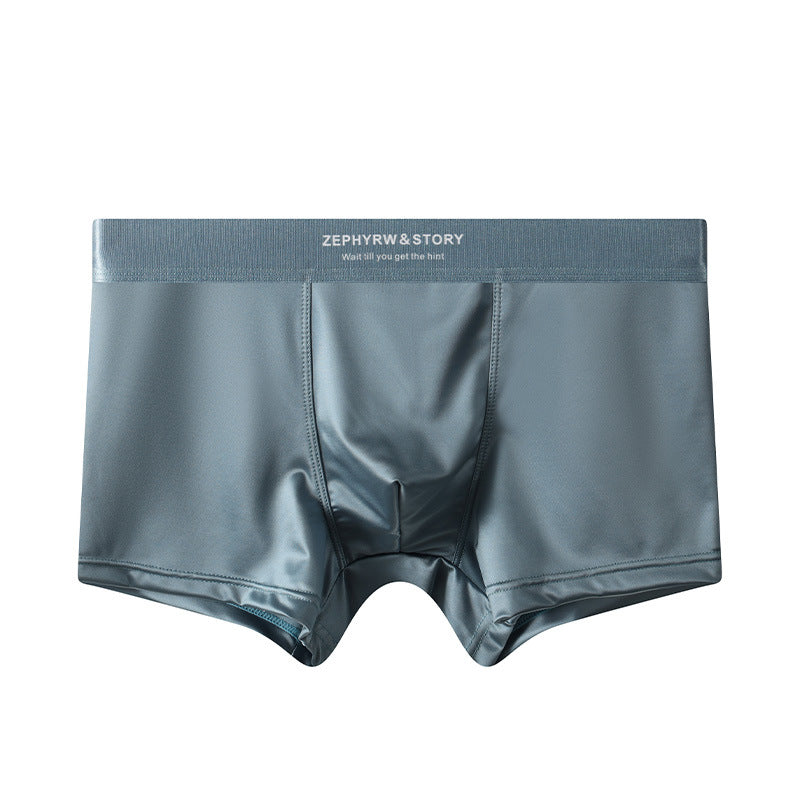 ZD  Ice Silk Premium Briefs