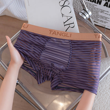 Horizontal & Vertical Stripe Sheer Mesh Embossed Letter Waist Boxer Briefs