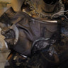 ZDEmerald Forest Briefs